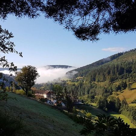 Ferienwohnung Tonbachtal Baiersbronn Zewnętrze zdjęcie
