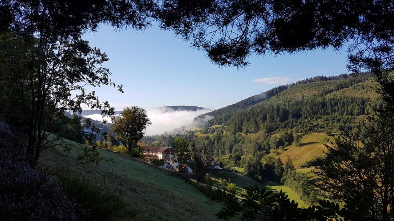 Ferienwohnung Tonbachtal Baiersbronn Zewnętrze zdjęcie