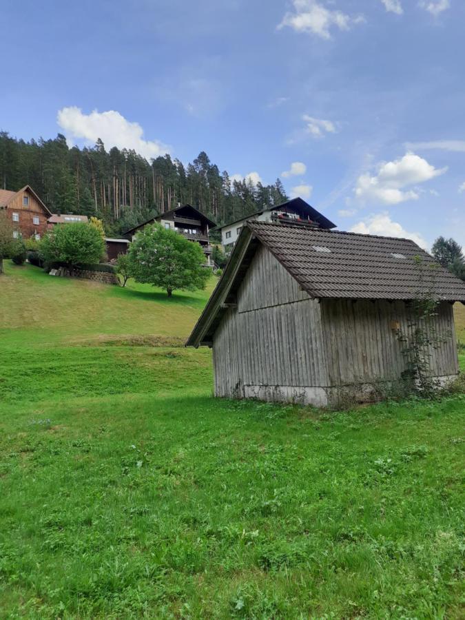 Ferienwohnung Tonbachtal Baiersbronn Zewnętrze zdjęcie